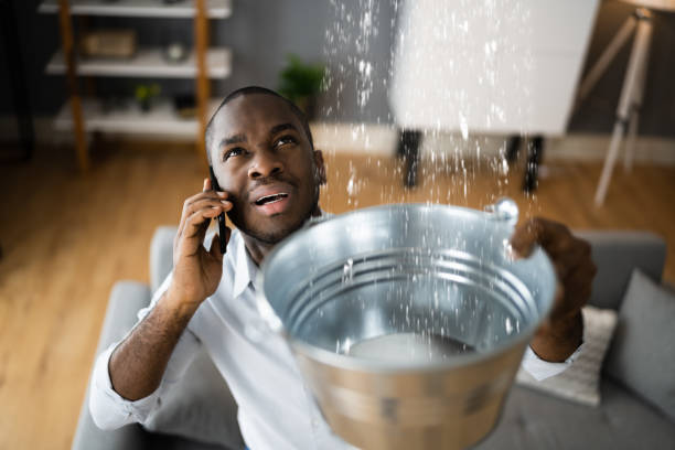 Best Basement water damage restoration  in Wentworth, NC