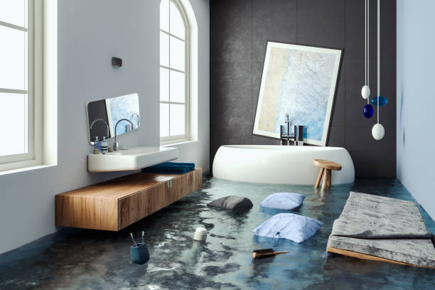 Best Mold removal after water damage  in Wentworth, NC