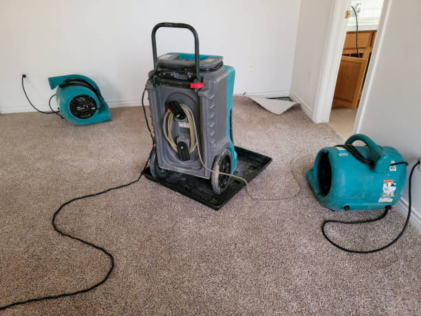 Best Ceiling water damage repair  in Wentworth, NC
