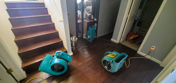 Best Carpet water damage restoration  in Wentworth, NC