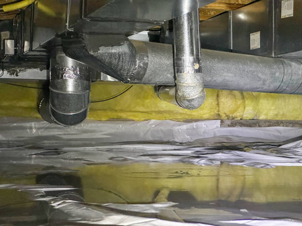 Best Sewage cleanup and water damage restoration  in Wentworth, NC