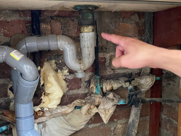 Wentworth, NC Water damage restoration Pros
