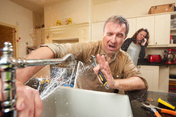 Best Water damage mitigation services  in Wentworth, NC